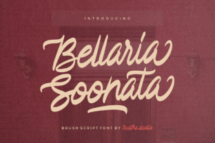 Bellaria Soonata: A Warm Brush Script Font for Editorial Design