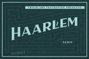 Haarlem Serif: A Display Font for Bold Branding and Campaign Impact