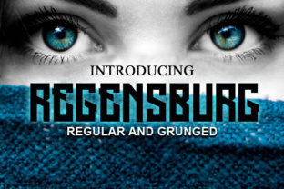 Regensburg Display Font for Polished Branding