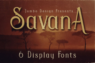 Savana: A Retro Display Font for Timeless Branding