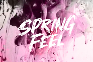 Springfeel: A Versatile Display Font for Dynamic Brand Campaigns