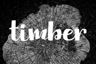 Timber: A Hand-Lettered Display Font for Editorial Design